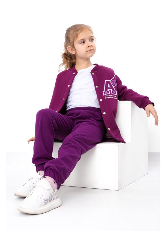 Темно-пурпурные повседневный демисезонные брюки Носи своє