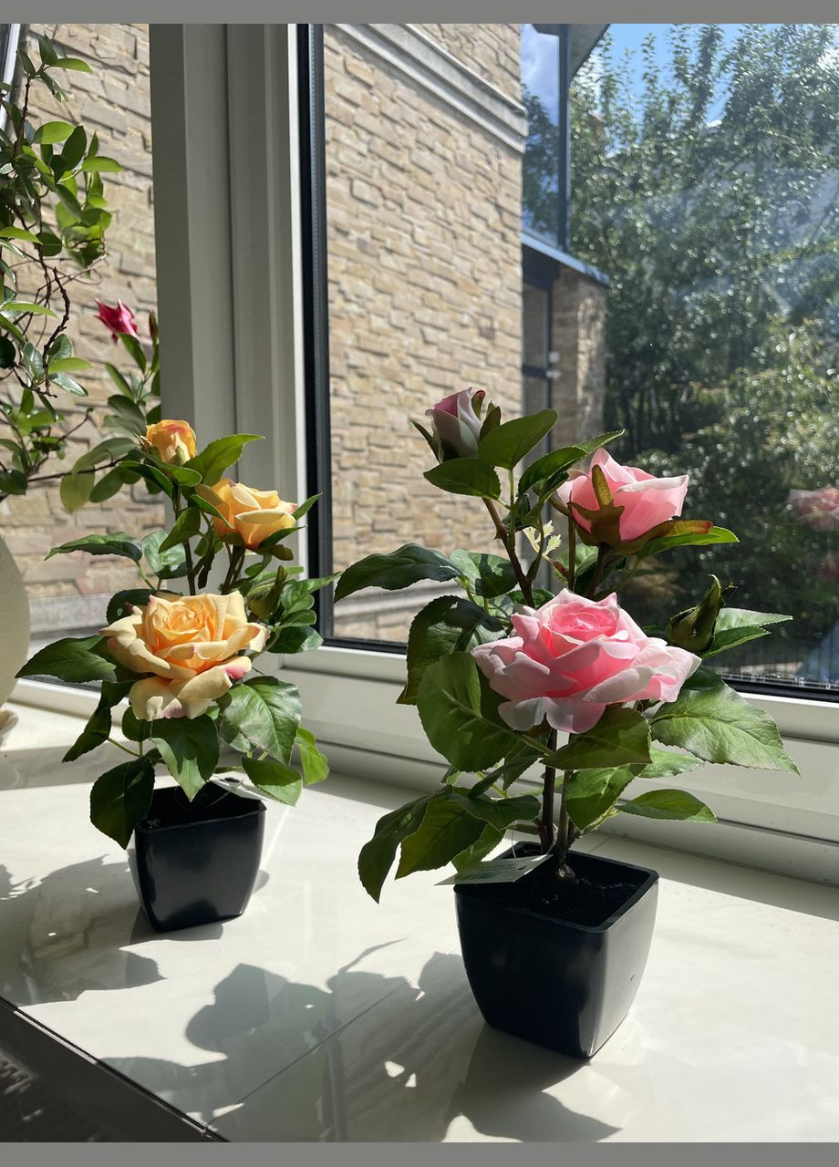 Троянда чайна штучний кущ в горщику 29 см HVOYA (328908629)