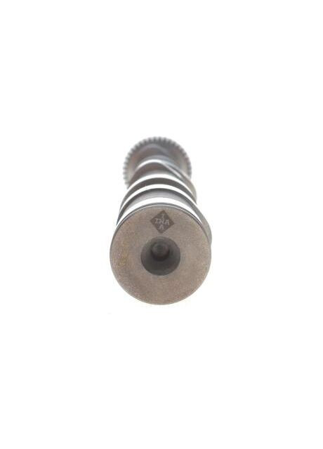 Распределительный вал 428 0158 10 Ina (340413912)