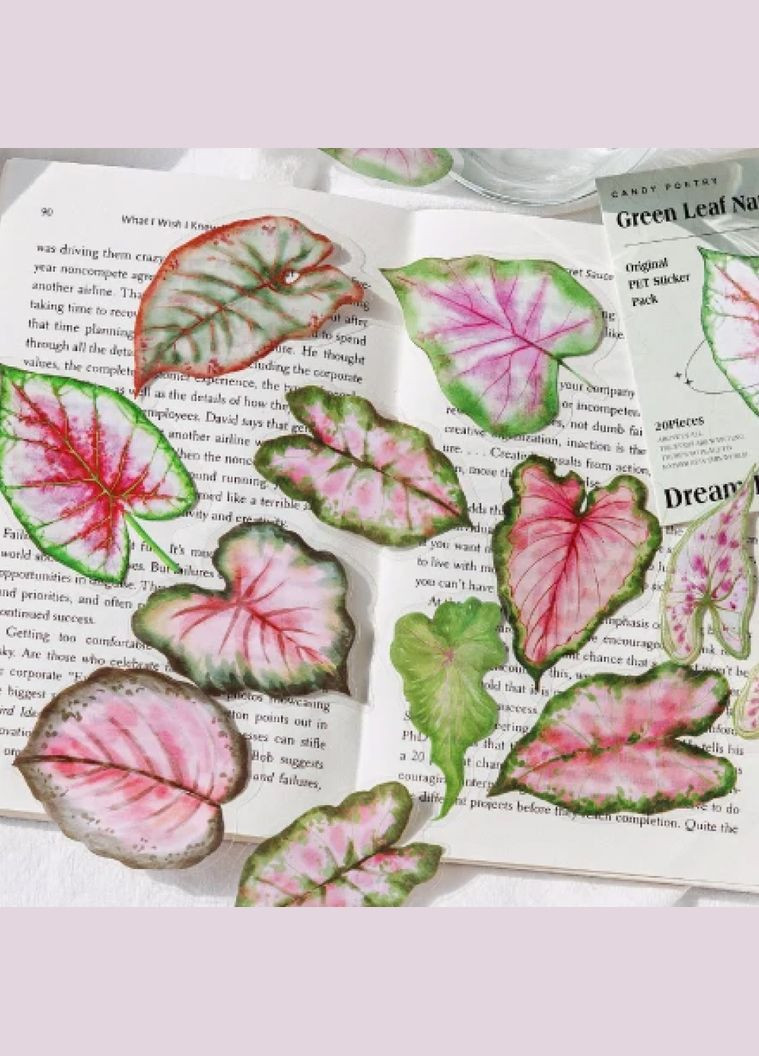 Набір ботанічних наліпок №4 “Листя рослин” 20 шт, для декору, творчості, скрапбукінгу та конспектів з біології No Brand (335426667)