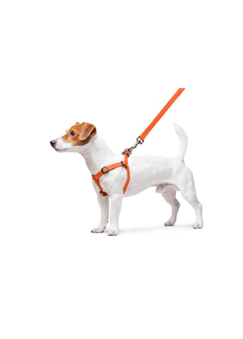 Шлея для собак водостійка Waterproof, c QR паспортом, металічна пряжка-фастекс, Ш 15 мм, Дов 40-55 см помаранчевий WAUDOG (322642650)