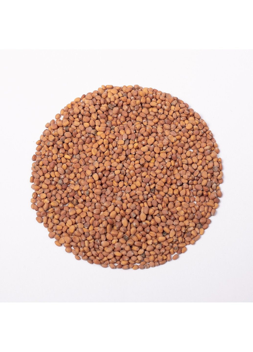 Насіння мікрозелені Green Chief Редиска Ред Корал Зелений Шеф (298051389)