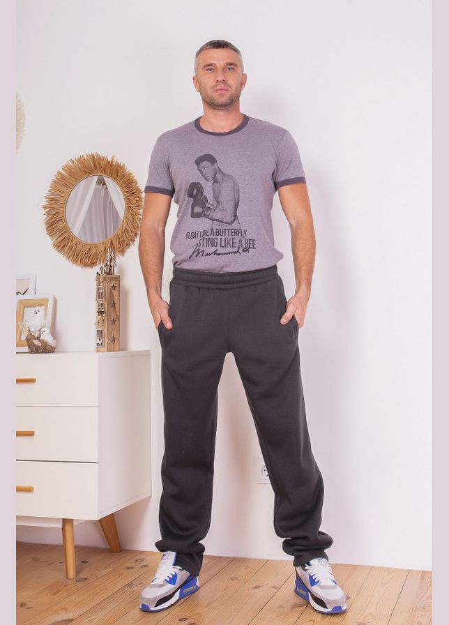 Темно-серые спортивные демисезонные брюки ISSA PLUS