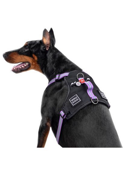 Шлей для собак Nylon безопасен с QR паспортом S фиолетовый (52479) WAUDOG Nylon безпечна з QR паспортом S фіолетова (366522159)