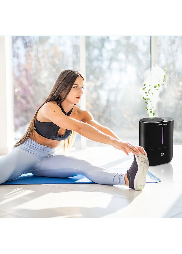 Увлажнитель воздуха В2Э Trotec (323131828)