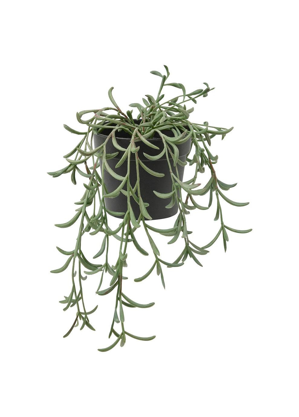 Штучна рослина в горщику ІКЕА FEJKA 9 см старий Роулі висить (20508408) IKEA (271121825)