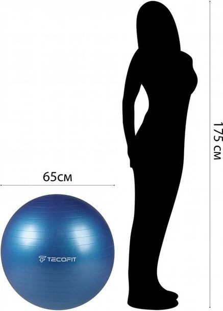 Мяч для йоги с насосом PVC/ПВХ 65 см, 900 г, TECOFIT (370439602)