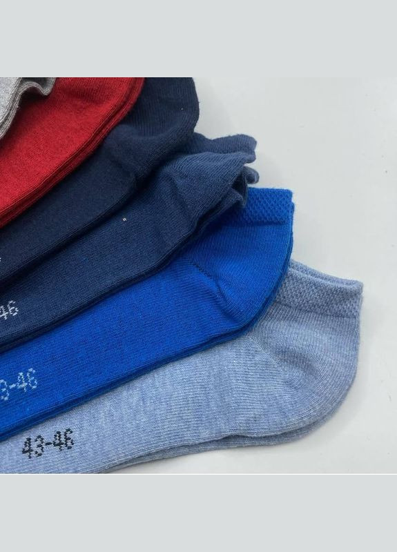 Серо-синие набор мужских носков 7 пар Livergy однотонные (341530445)