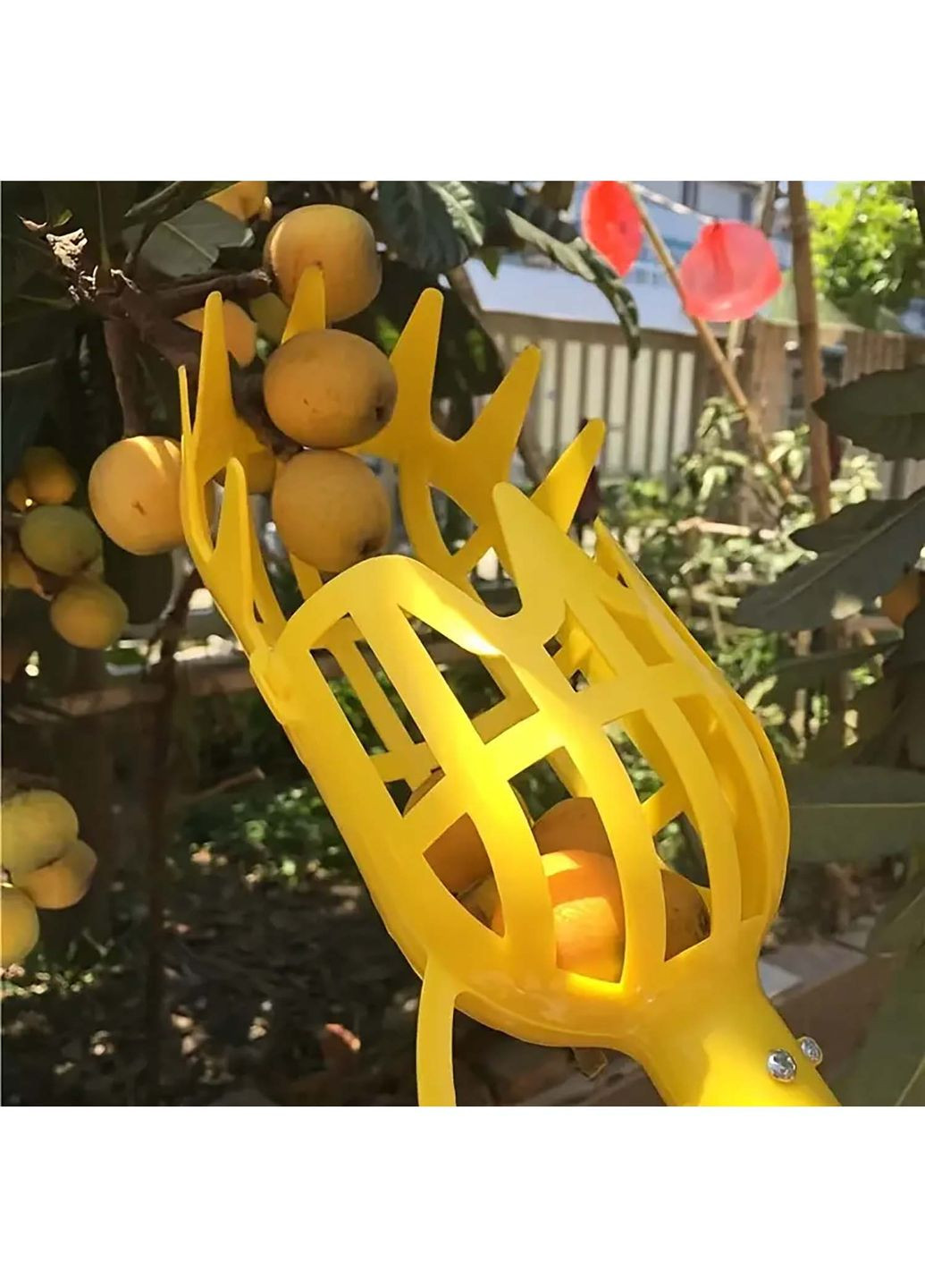 Плодозйомник для збору фруктів (насадка на телескопічну палку або держак) Yu Xin (350883963)