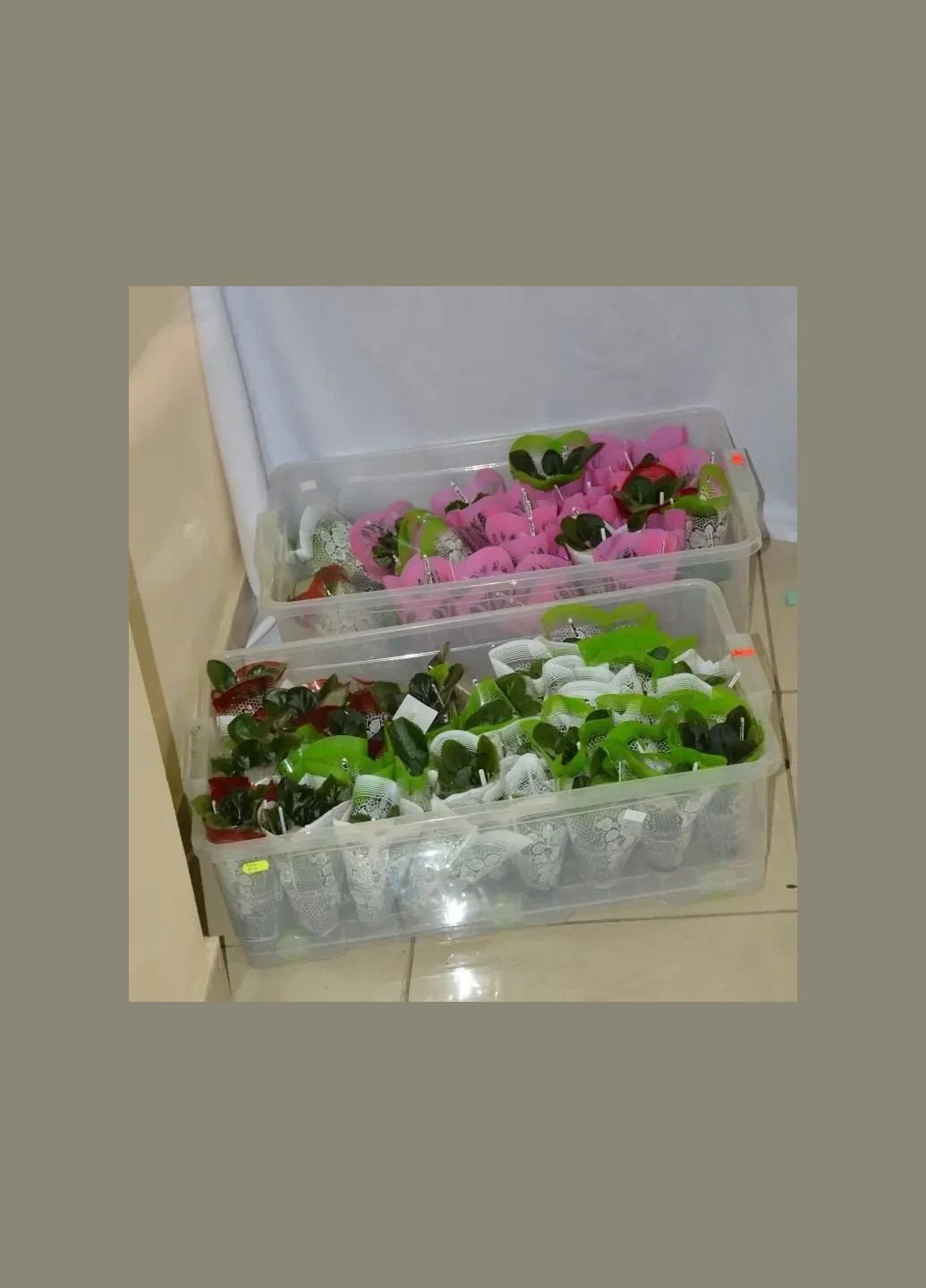 Большой пластиковый пищевой контейнер на колесиках 30 л, BIGBOX Ал-Пластик (365815121)