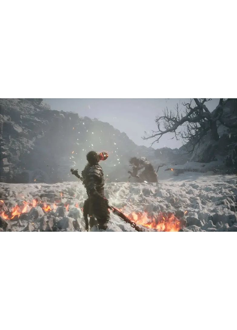 Гра консольна PS5 Black Myth: Wukong, BD диск Sony (362731896)