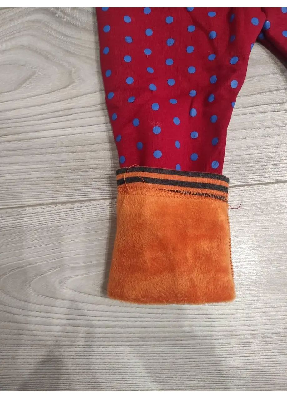 Детские махровые теплые лосины для бордовые девочки в горошек. No Brand (362604211)