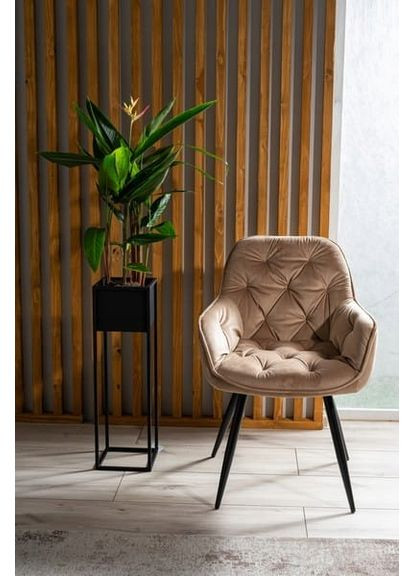 Стілець CHERRY VELVET чорний каркас / беж BLUVEL 28 CHERRYVCBE Signal (372178656)