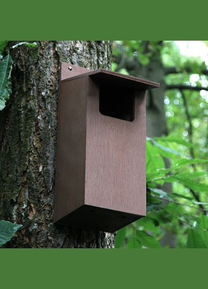 Будиночок для сови з дерева Селена капучино (ДСО-002109) No Brand (328605723)