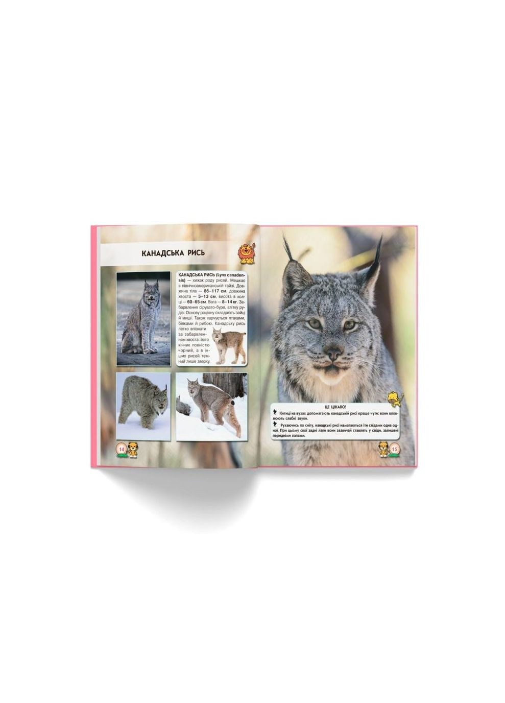 Книга "Світ навколо нас. Великі кішки" (укр) Кристал Бук (351346715)