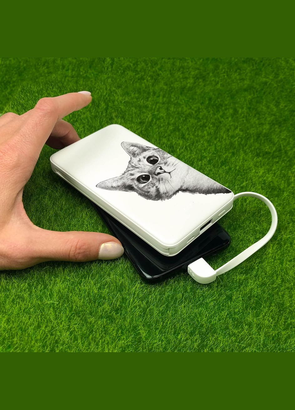 Повербанк Ей, Кіт 10000мАг Ziz 45055 (341318811)