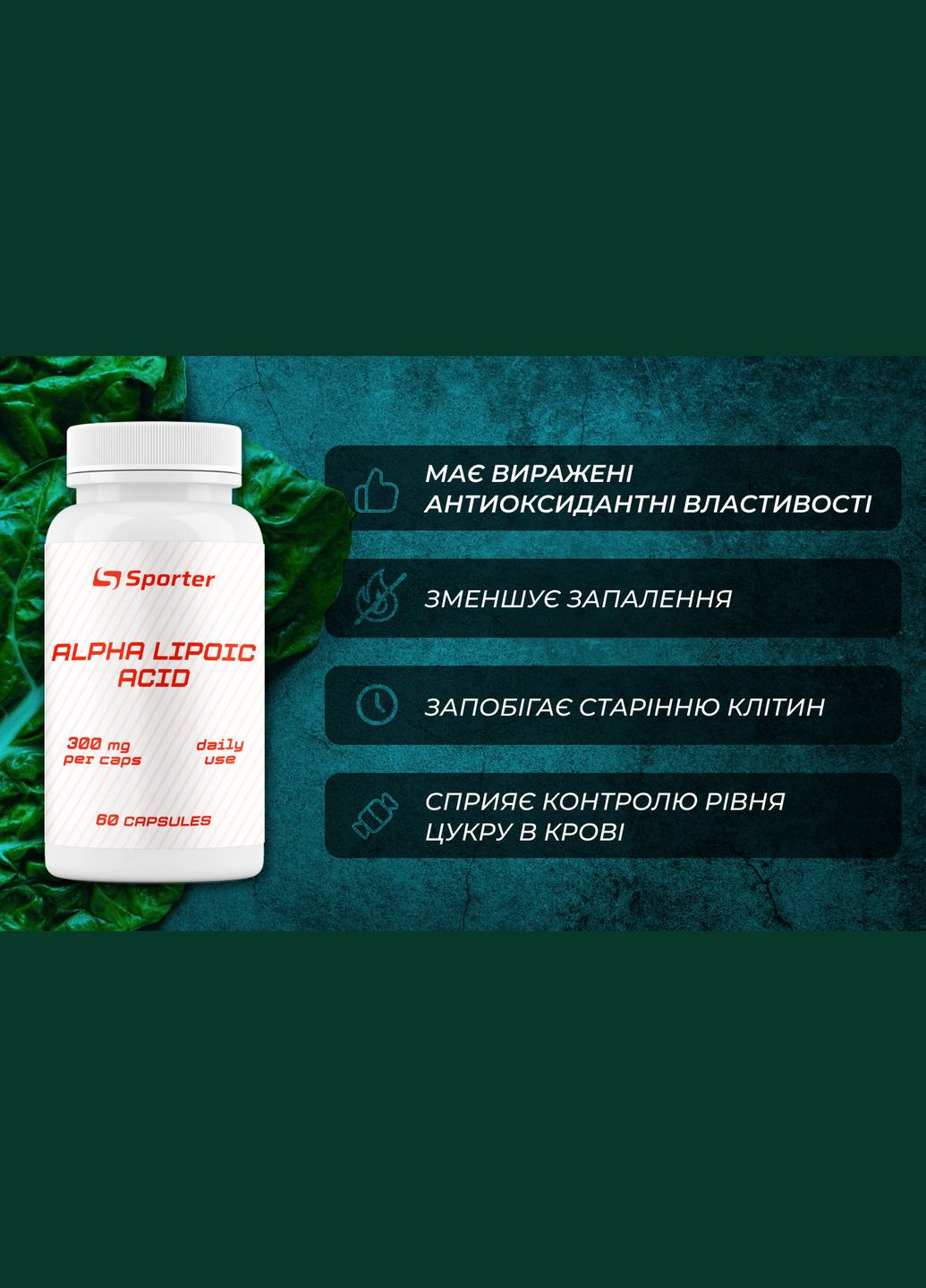 Альфа-липоевая кислота Alpha Lipolic Acid 60 капсул Sporter (303701110)