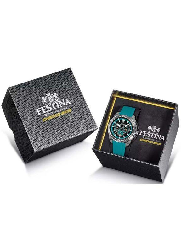Мужские наручные часы Festina F20725/6 (362024548)