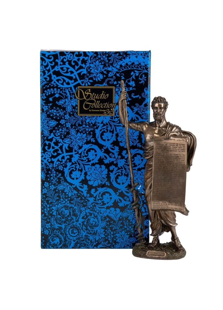 Статуетка Гіппократ, 33 см VERONESE ELISEY (366889132)