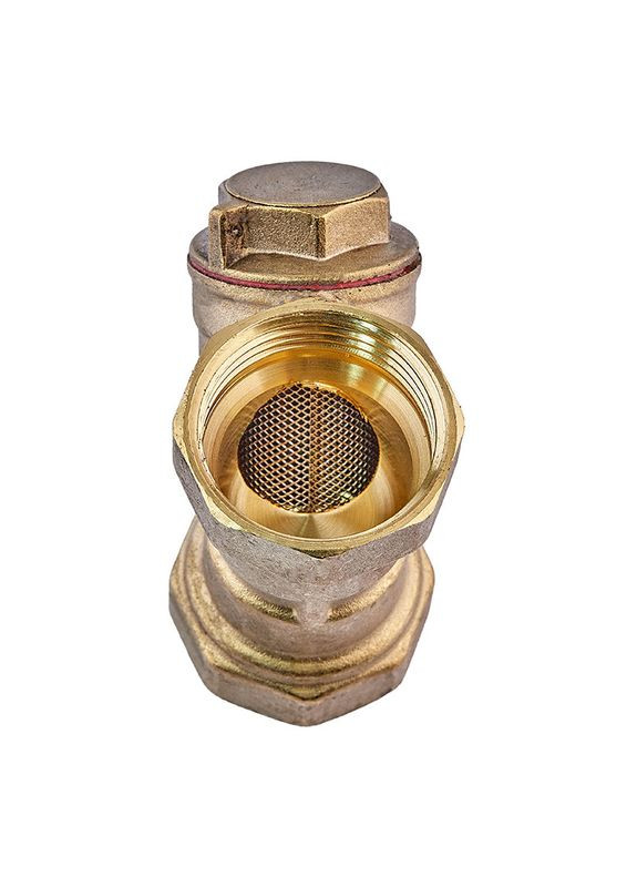 Фільтр грубої очистки з вушком (латунь) WP200-25 - 1" (WP3306) WaterPRO (322074703)