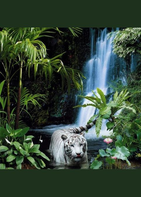 Фотообои на 15 листов Тропическая сказка Artdeco 050195 (316464421)