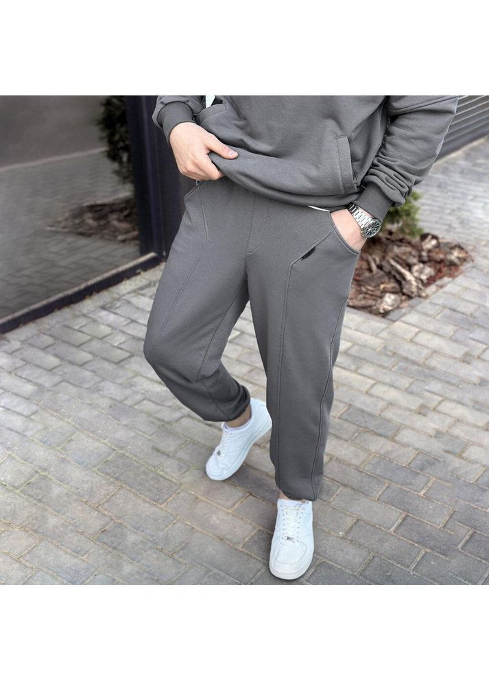 Чоловічий демісезонний спортивний костюм тринитка сірий Freedom (367088921)