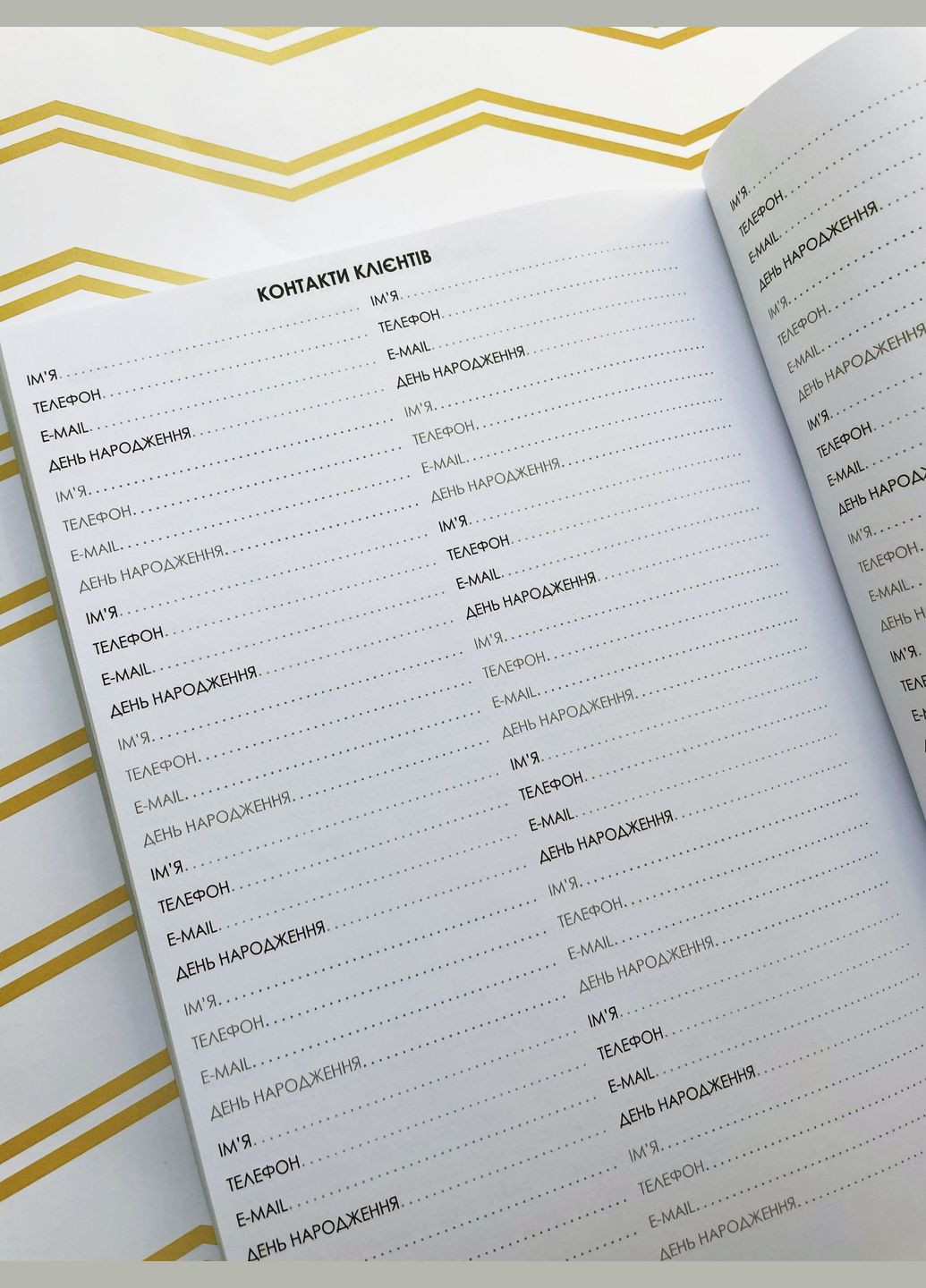 Планер Майстра Депіляції Фірмовий Figasse 545 (300358750)