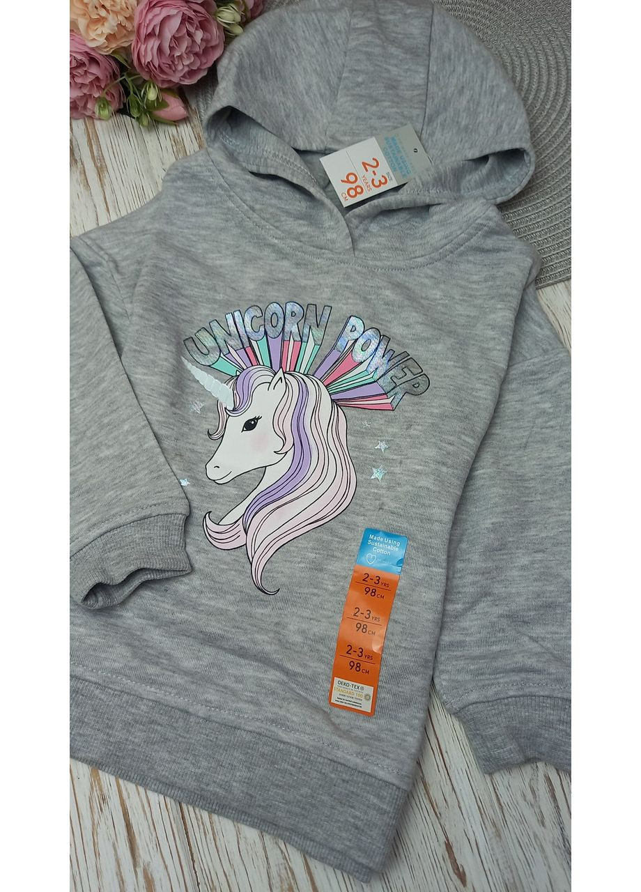 Кофта світшот 98 см Primark (368152343)