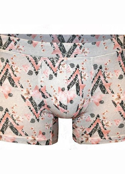 Мужские трусы боксеры с рисунком 1809 доренс Doreanse (368787676)