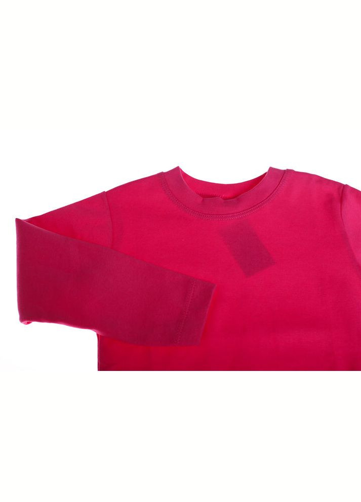 Водолазка трикотажна для дівчинки однотонна рожева 116 см (30869) BABYKROHA (315721679)