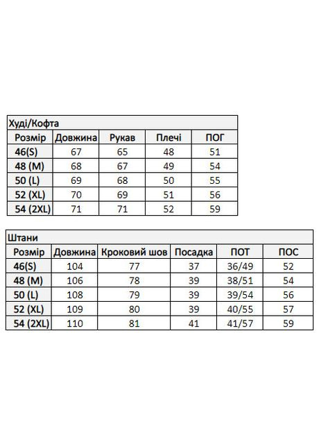 Чоловічий спортивний костюм з лого 🏃🏃🏃 No Brand (315690011)