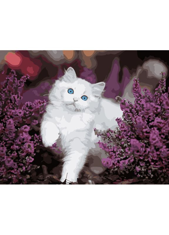 Картина за номерами ПРЕМІУМ Котик із блакитними очима розміром 40х50 см (GS1009) Strateg (362500452)