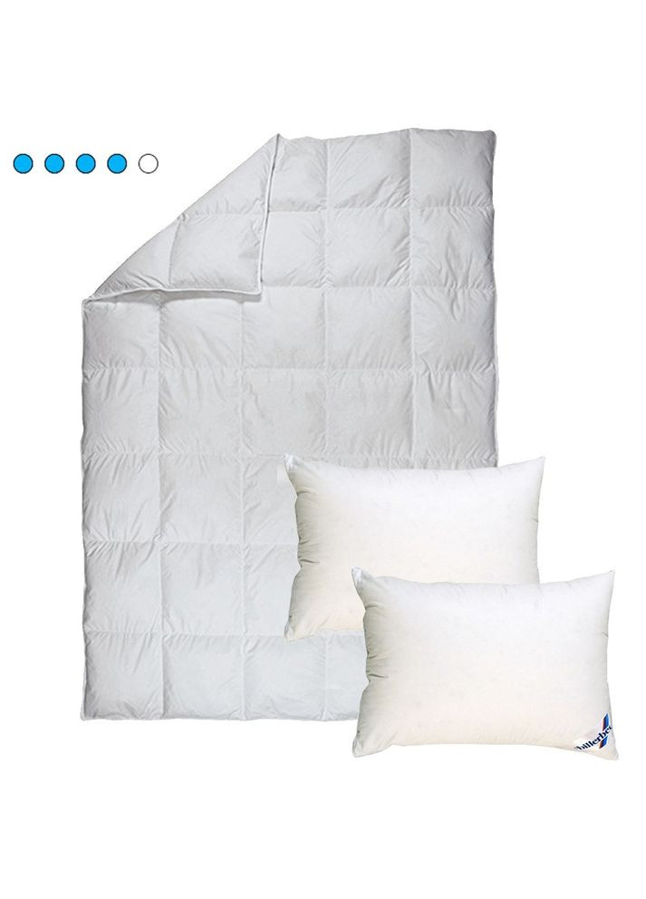 Комплект Ковдра Магнолія Тепла 172х205 см 0590-01-02 + Подушка Лідія 50х70 см 2 шт 1590-30-57 білий Billerbeck (317302062)