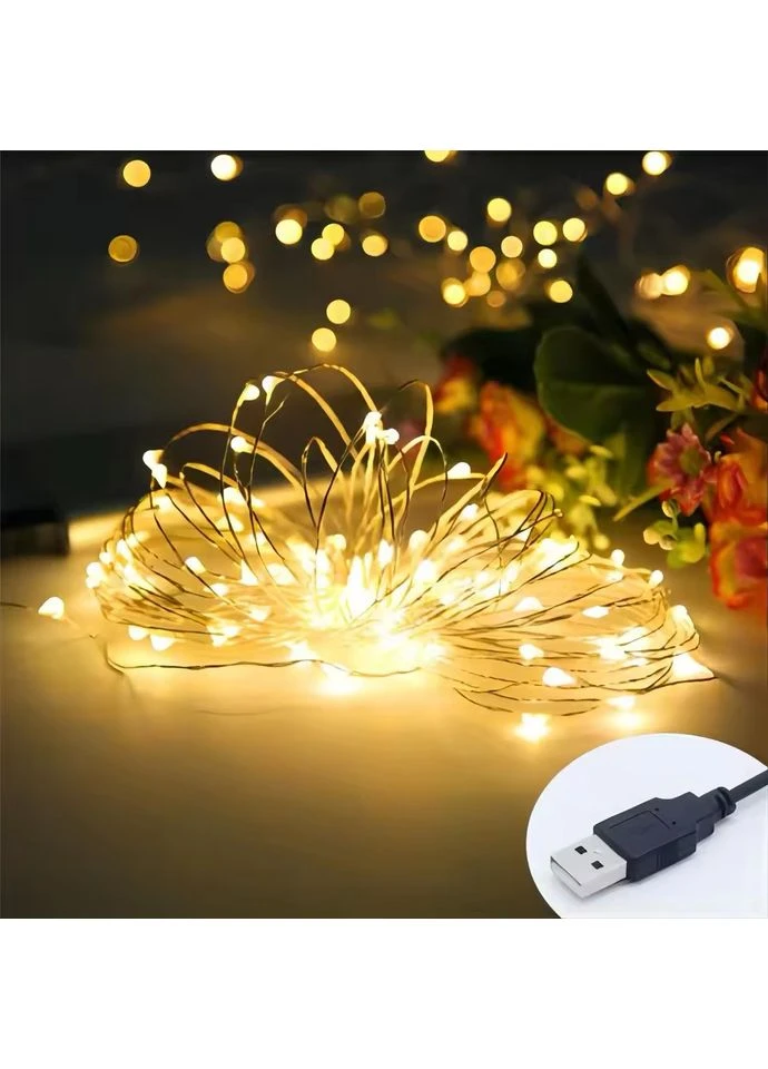 Светодиодная гирлянда 10 м 100 LED-лампочек USB от powerbank No Brand (388408221)