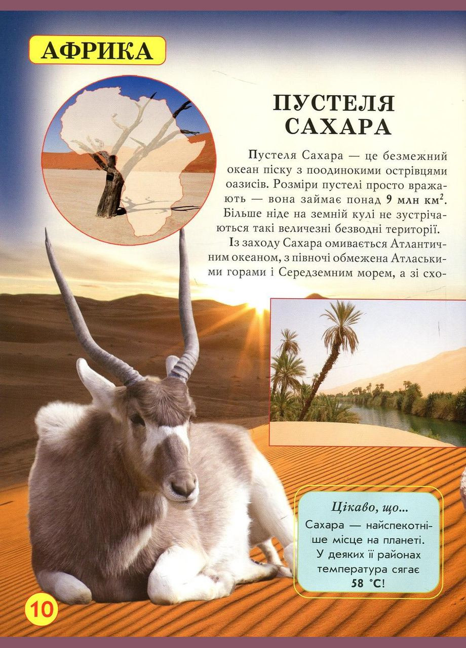 Світ навколо нас. Дива природи Кристал Бук (316084202)