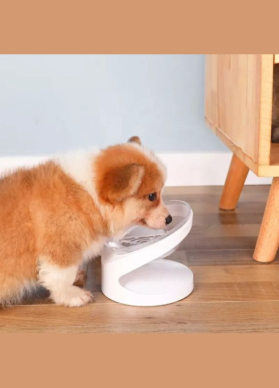 Миска для котів та маленьких собак 200мл, під кутом, Білий No Brand (299915634)