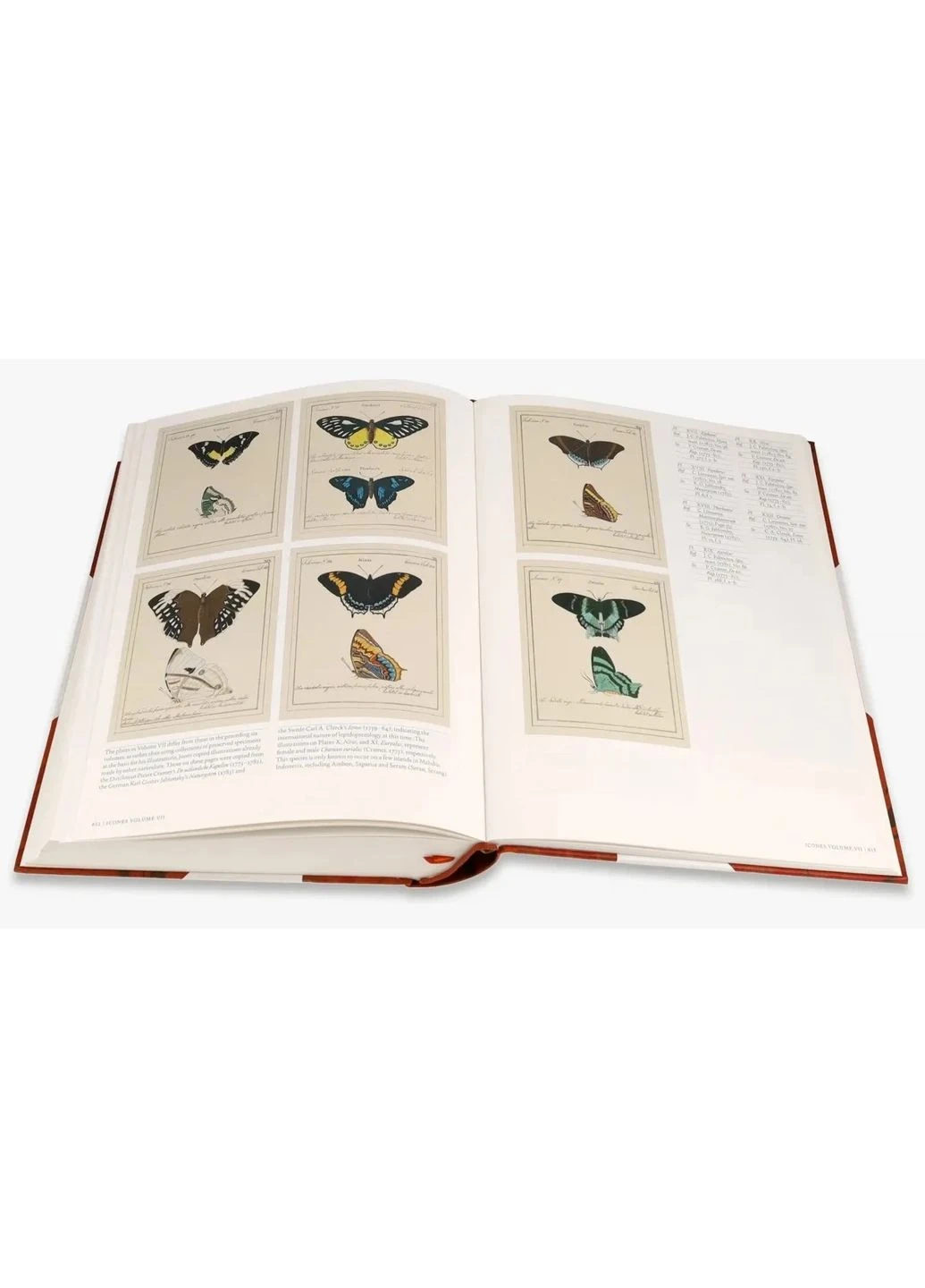 Iconotypes. A compendium of butterflies and moths. Jones’s Icones Complete Thames & Hudson (370615723)