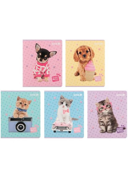 Зошит 24 аркушів клітинка Home (350198927)