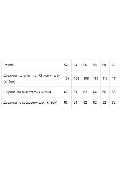 Штани чоловічі (p-2647) Носи своє (317326842)