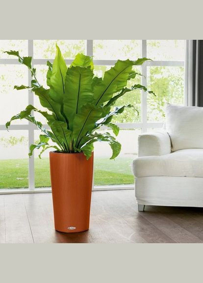 Розумний вазон Cilindro Color 32 13 л сірий 13953 Lechuza (316617991)