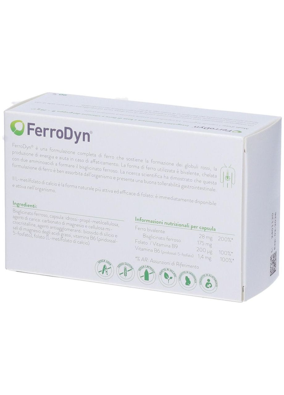 Железо FerroDyn + метилфолат и активный B6, 90 капсул, высокая биодоступность, мягкое действие Metagenics (315762813)