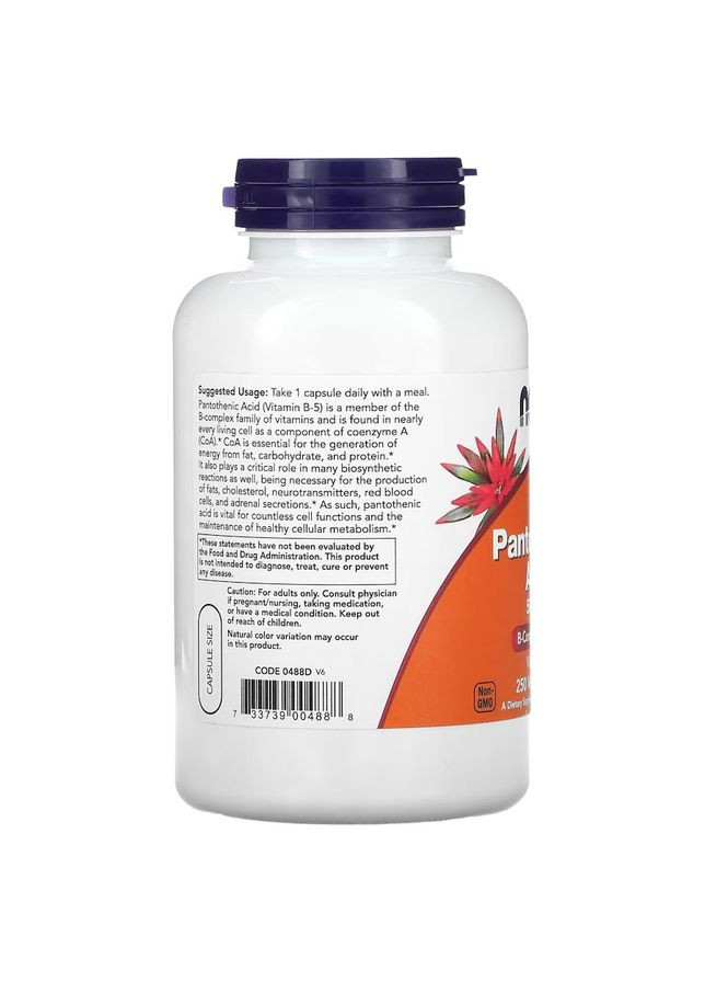 Вітаміни та мінерали Pantothenic Acid 500 mg, 250 вегакапсул Now (322209285)