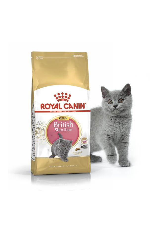 Сухой корм для британских короткошерстных котят до 12 месяцев British Shorthair Kitten 10 кг 2566100 Royal Canin (266274129)