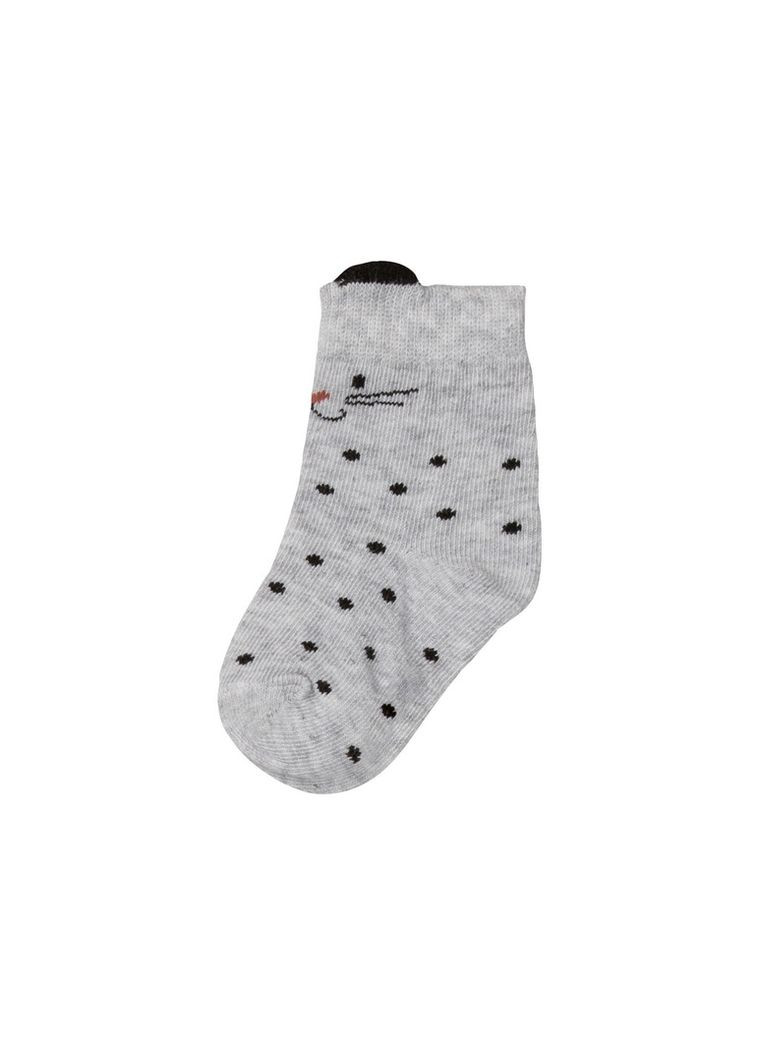 Набір шкарпеток (носків) для дівчинки Lupilu (293152273)