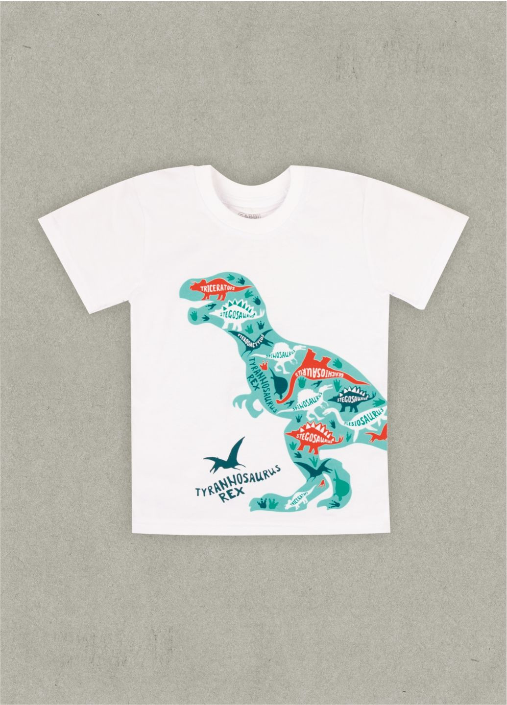 Белая летняя футболка для мальчика ft-25-33 GABBI