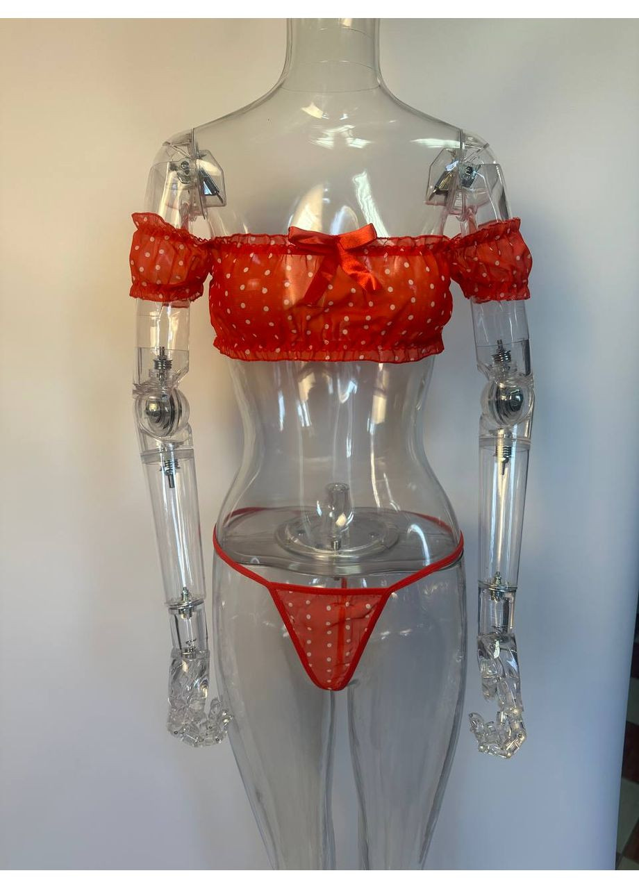 Червоний демісезонний комплект жіночої білизни в горошок веснянка топ пояс-спідниця з гартерами та трусики в наборі червоний No Brand Комплект нижньої білизни Freckle