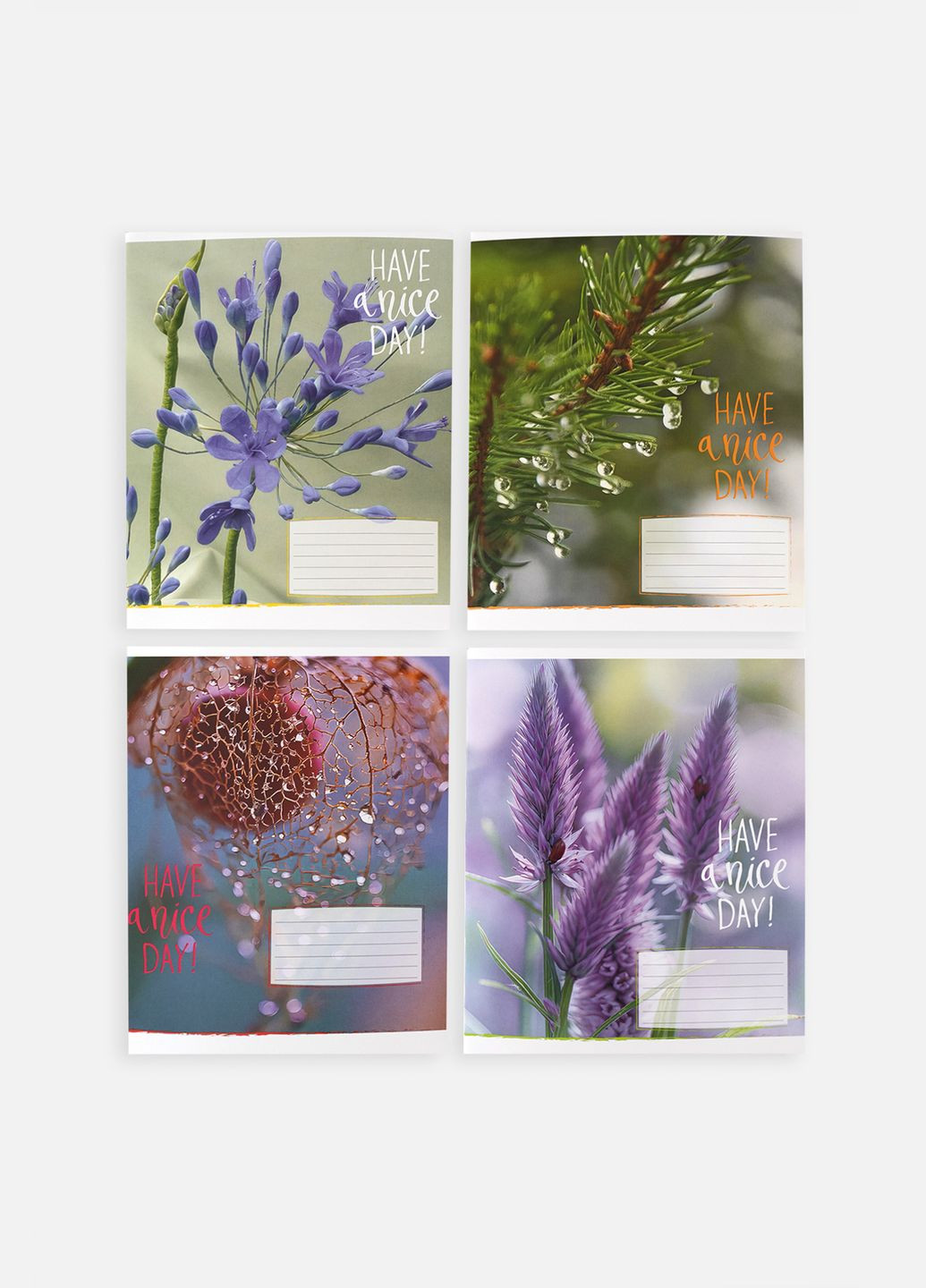 Зошит учнівський в лінію колір різнокольоровий CB-00255163 Фабрика Поліграфіст (319128049)