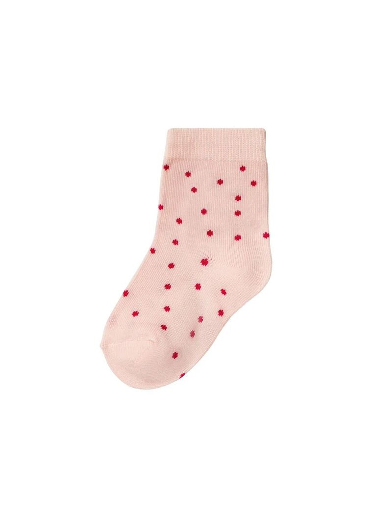Набір шкарпеток (носків) для дівчинки Lupilu (293152264)
