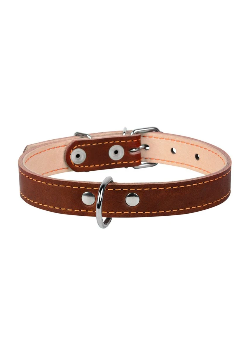 Нашийник подвійний 20мм/32-40см Коричневий Collar (279570456)