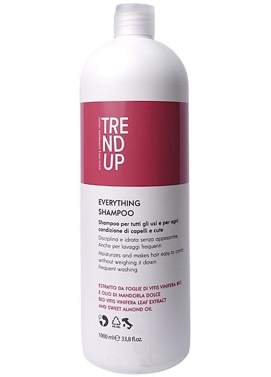 Шампунь для волосся Everything Shampoo 300ml (1515889-31800425) Trend Up (368664806)